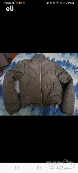 Късо яке , снимка 1