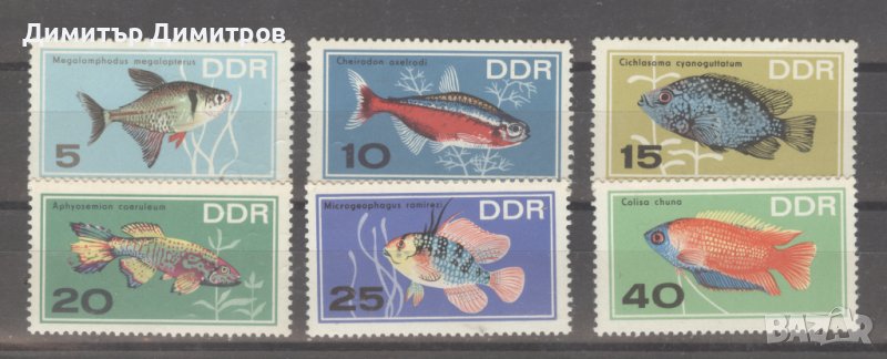 Германия ГДР 1966 г.- Риби чисти, снимка 1