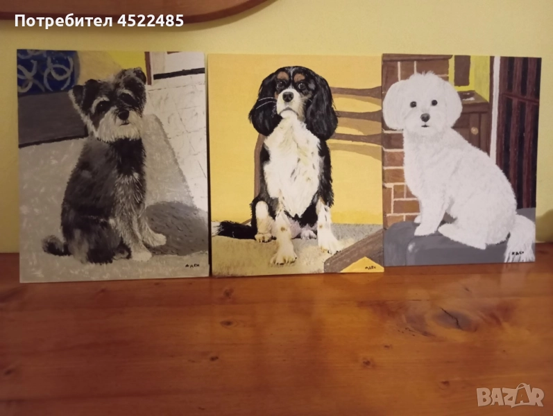 ръчно рисувани картини с акрилни бои 25/30, снимка 1