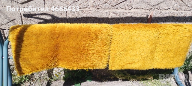 Родопски китеници