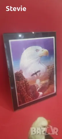 Фигура и картина на Белоглави орли, снимка 2 - Картини - 48272426