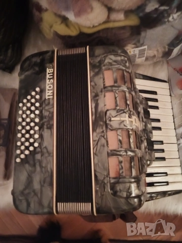 акордеон, снимка 3 - Акордеони - 53972298
