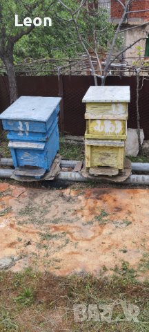 Пчелни кошери, снимка 7 - За пчели - 36628613