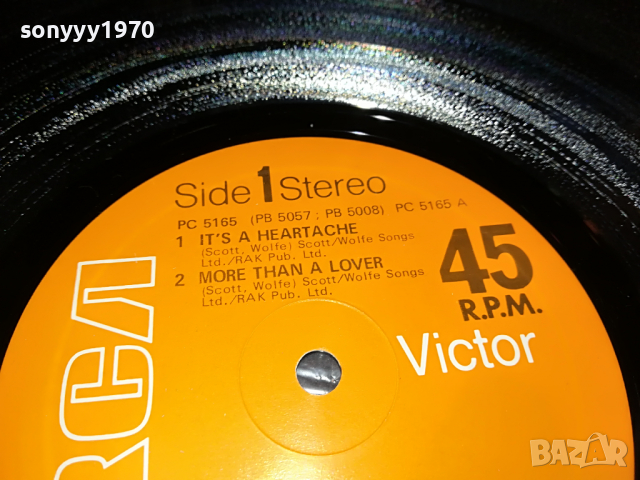 поръчана-BONNIE TYLER-ENGLAND 1704222006, снимка 17 - Грамофонни плочи - 36487869