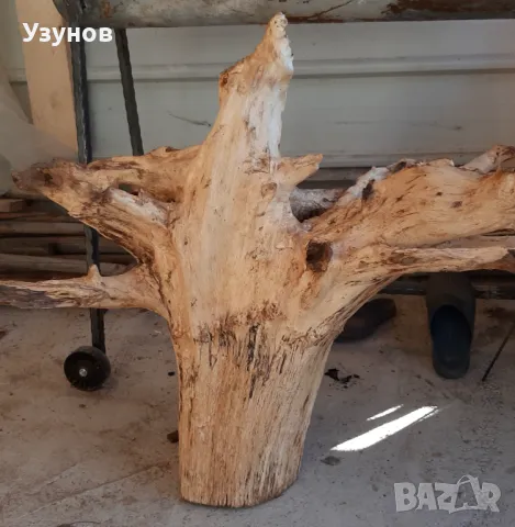 Декорация за градината -Корен от Дъб, снимка 7 - Декорация за дома - 48558312