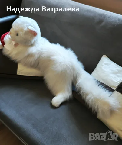Огромно плюшено коте, снимка 4 - Плюшени играчки - 56153465