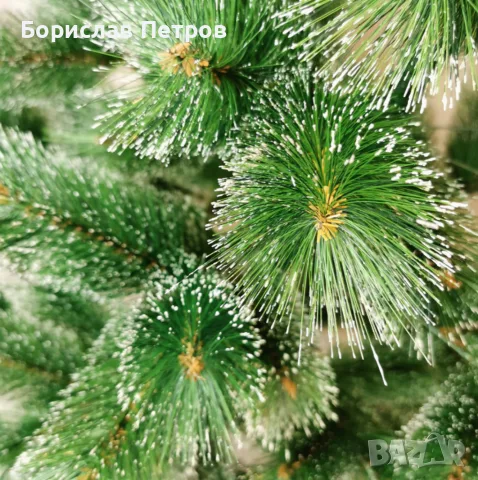 Коледна елха с бели заскрежени връхчета, снимка 2 - Декорация за дома - 56464149