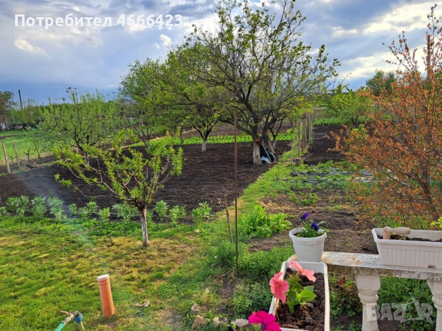 Собственик продава двуетажна масивна къща с три самостоятелни парцела и разработен бизнес , снимка 3 - Къщи - 52621406