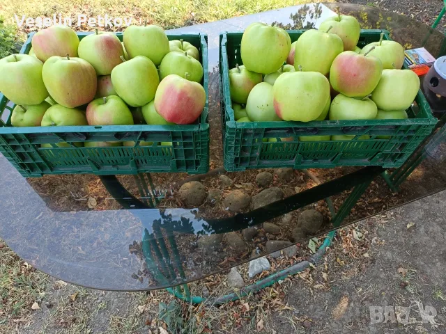 Продавам ябълки..., снимка 3 - Домашни продукти - 55903170