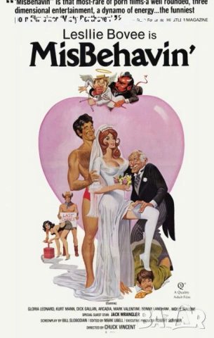 11 видеокасети видео касети с еротика с български превод, снимка 2 - Други жанрове - 53123984