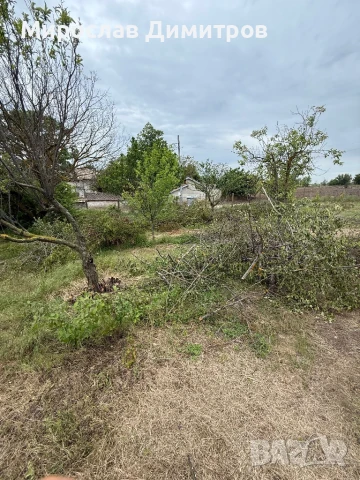 Услуги професионална дробилка и самосвал , снимка 9 - Други почистващи услуги - 51017863