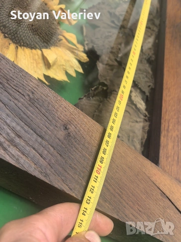 Слънчогледи , снимка 6 - Картини - 53957664