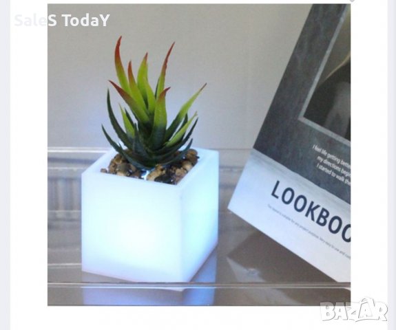 Нощна Лампа кактус, декоративна 