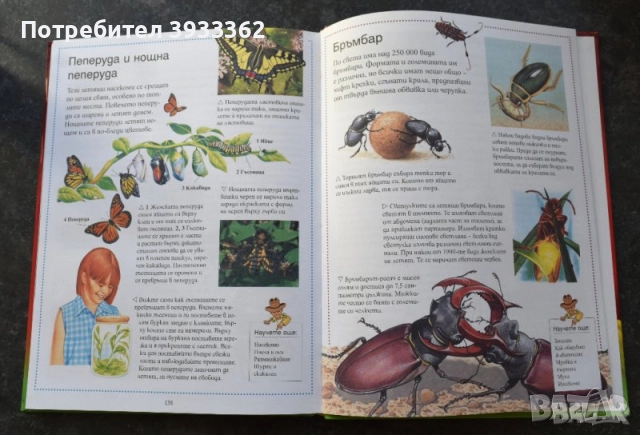 Детски книжки, снимка 14 - Детски книжки - 51935210