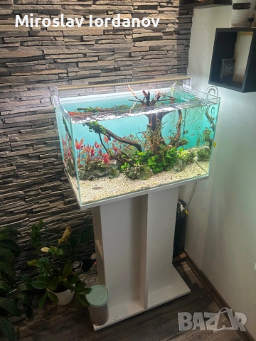 Аквариум с шкаф пълен сет, снимка 2 - Аквариуми - 53290868