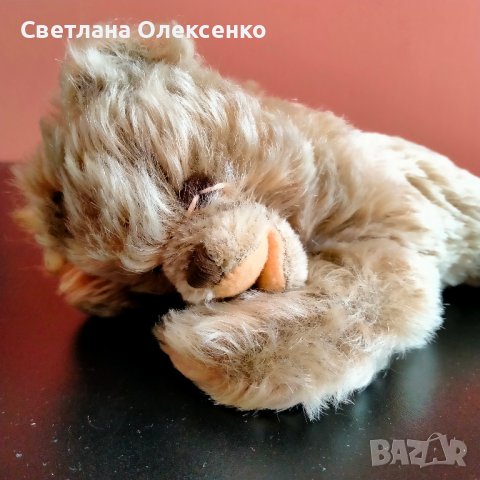 Колекционерска мека играчка Steiff Floppy Zotty teddy bear, снимка 10 - Колекции - 37765784