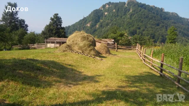 Имение 155 дка с.Бабинци, Тетевен.По договаряне., снимка 3 - Земеделска земя - 48987139