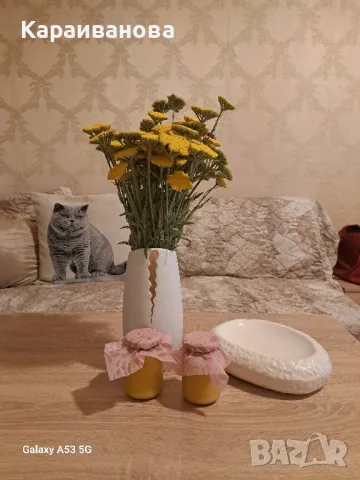 Мехлем мас и невен , снимка 6 - Други - 50098874