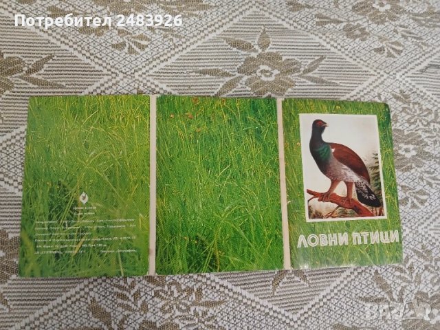Ловни птици   Георги  Оцетов, снимка 3 - Други - 51148280