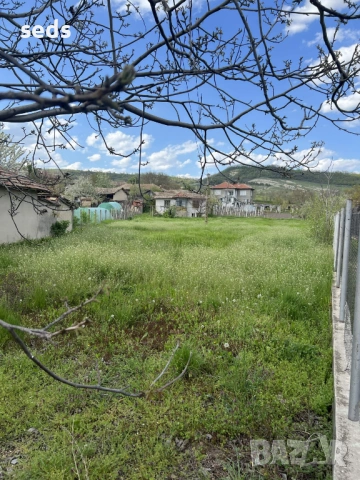 Парцел с къща 1489 кв.м с. Памукчии, обл. Шумен, снимка 7 - Парцели - 54315968