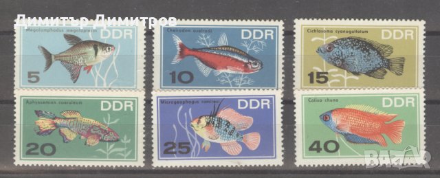 Германия ГДР 1966 г.- Риби чисти, снимка 1 - Филателия - 44430467