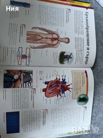 Човекът- книга за човешкото тяло, снимка 3 - Енциклопедии, справочници - 51647953