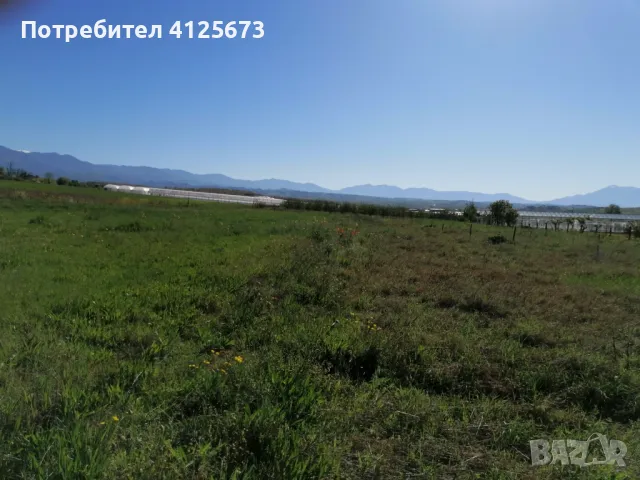 Продавам земеделска земя в землището на с.Ново Делчево, общ. Сандански, снимка 6 - Земеделска земя - 50090169