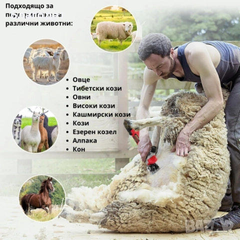 Електрическа машинка за стригане на овце и кози PAT JULIMG – 1000W, 6 скорости, професионални острие, снимка 4 - За селскостопански - 52514116