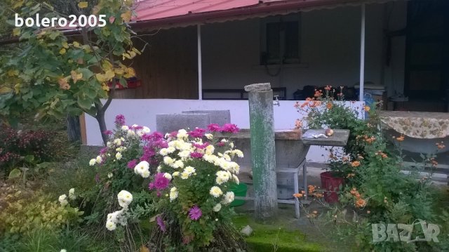 vila bolero, снимка 18 - Къщи - 24449796