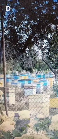 Продавам пчелни семейства.