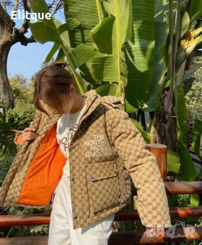 яке на едро the north face Gucci , снимка 8 - Якета - 53009910