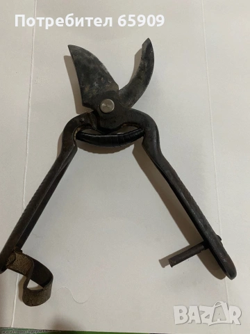 Лозарска ножица