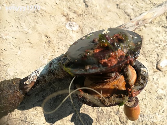 ретро въдица със стара макара 1метър 2208211951, снимка 8 - Антикварни и старинни предмети - 33890392