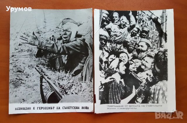 Снимки от Великата Отечествена война – лот от 7 бр., снимка 4 - Други - 48168565