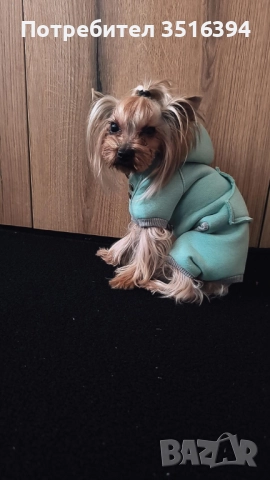 Дрехи за малки кучета