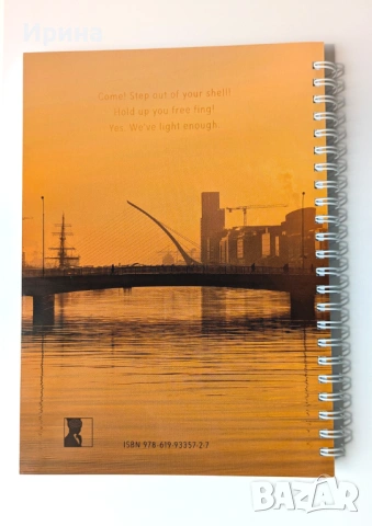 James Joyce's "Finnegans Wake" in quotation selections, снимка 9 - Художествена литература - 54081804