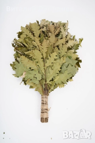 Метлички за сауна дъб/бреза. Веники для бани дуб/берёза., снимка 3 - Други стоки за дома - 52229107