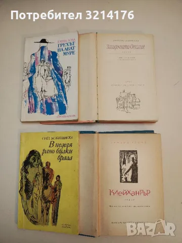 Грехът на абат Муре - Емил Зола, снимка 2 - Художествена литература - 49826394