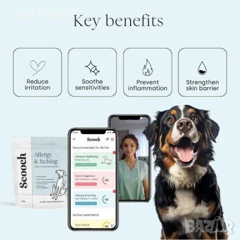 Scooch Добавка за кучета против алергии и сърбеж, фъстъчено масло и аромат на кокос - 60 дъвки, снимка 4 - За кучета - 49866397