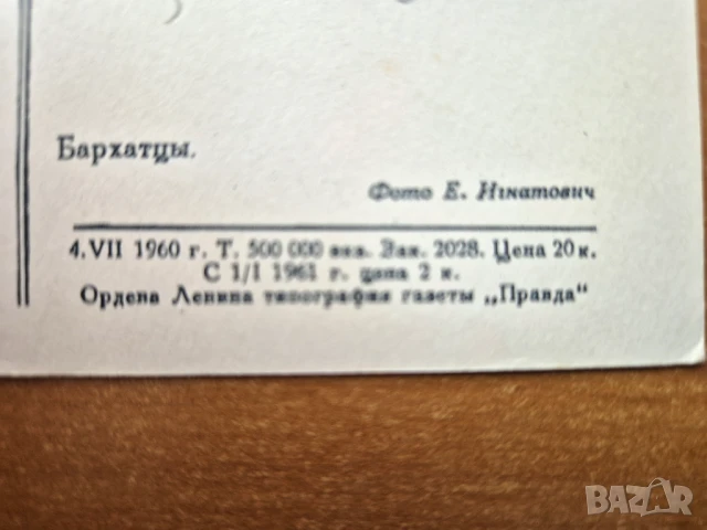 Пощ. картичка   - художествена  СССР, снимка 2 - Филателия - 50643154