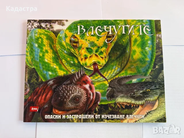 Комплект от 8 детски енциклопедии и занимателни книги, снимка 8 - Детски книжки - 56008425