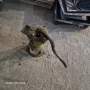 Ръчна Помпа Вода, снимка 1