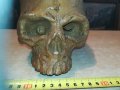 черепа-керамика 20х19х14см 0903211130, снимка 11