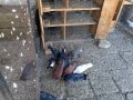Пазарджишки гълъби, снимка 18