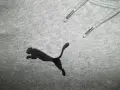 Суичъри PUMA, SMILODOX  мъжки,С-М, снимка 8