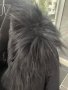 Яке,естествен косъм, снимка 2