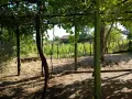 къща в с Кюлевча, снимка 2