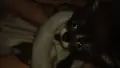 Подарявам малко сладко кате, снимка 1