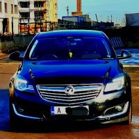 Opel Insignia 2.0 Ecoflex, снимка 1 - Автомобили и джипове - 44428161