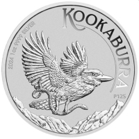 Австралия 2024 - 1 долар - Австралийската Кукабура – 1 OZ – Сребърна монета, снимка 5 - Нумизматика и бонистика - 44781008